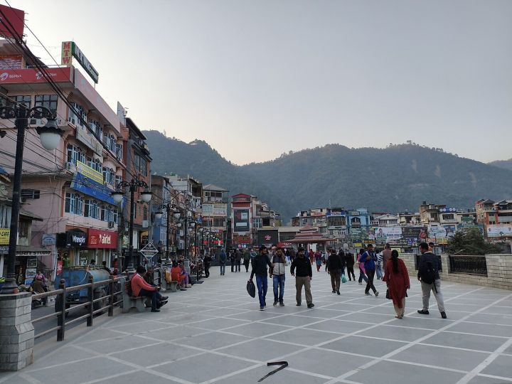 Sikkim Establishes India's First Himalayan Speciality Coffee District