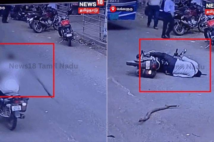 Bengaluru: Biker Suffers Severe Head Injury After Tree Branch Falls, Lands in Coma