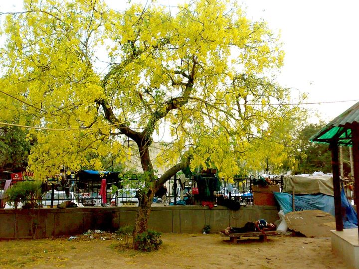 R.K. Puram Residents Raise Security, Illegal Parking Concerns at Public Meet