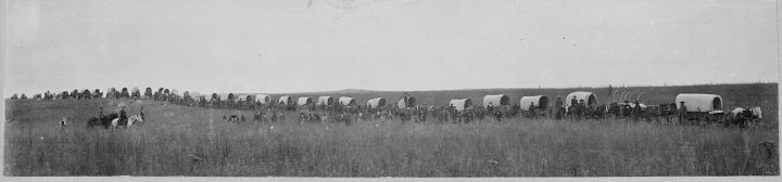 Govt Raises Wheat Procurement Target by 15% Under MSP
