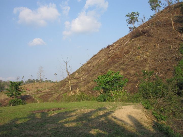 Forest Encroachment Team Attacked in Madhya Pradesh