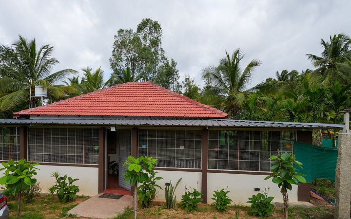 Bengaluru Woman Found Dead, Partner Unconscious in Karnataka Homestay