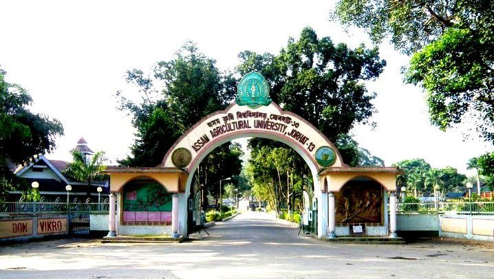 Assam Minister Reviews Tezpur Litchi Exports with Farmers