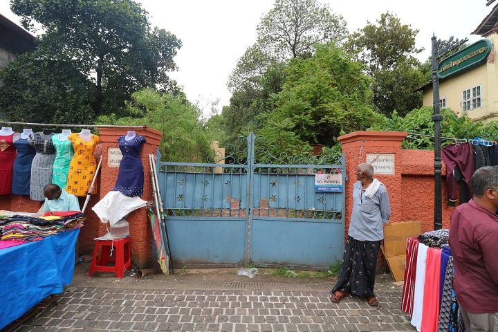 Tree Branch Fall Kills Couple Returning from Kundalpur in Damoh