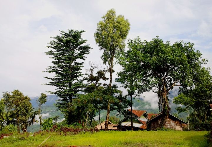 Mon District, Nagaland: 8 Killed, 12 Injured in Multiple Landslides