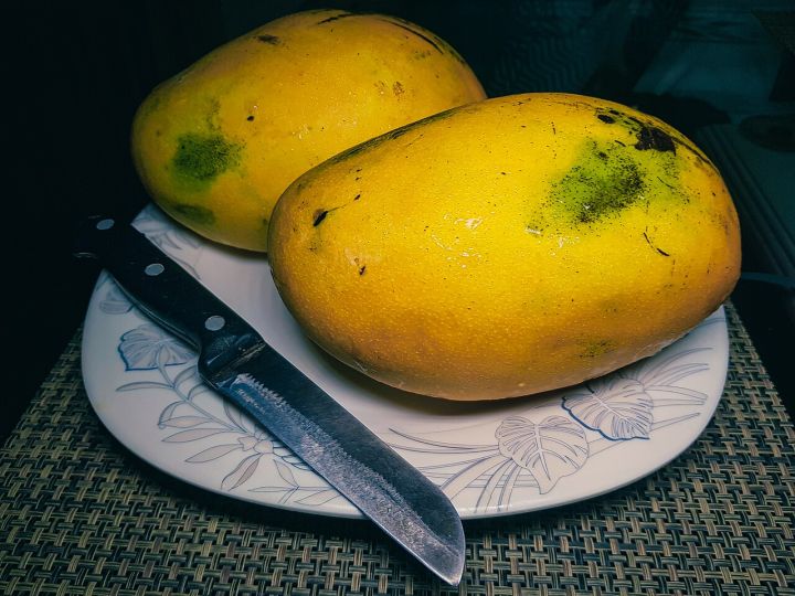 UP Ships Chausa Mangoes to UK