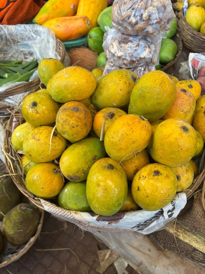 Goa Celebrates Mankurad Mango on National Mango Day