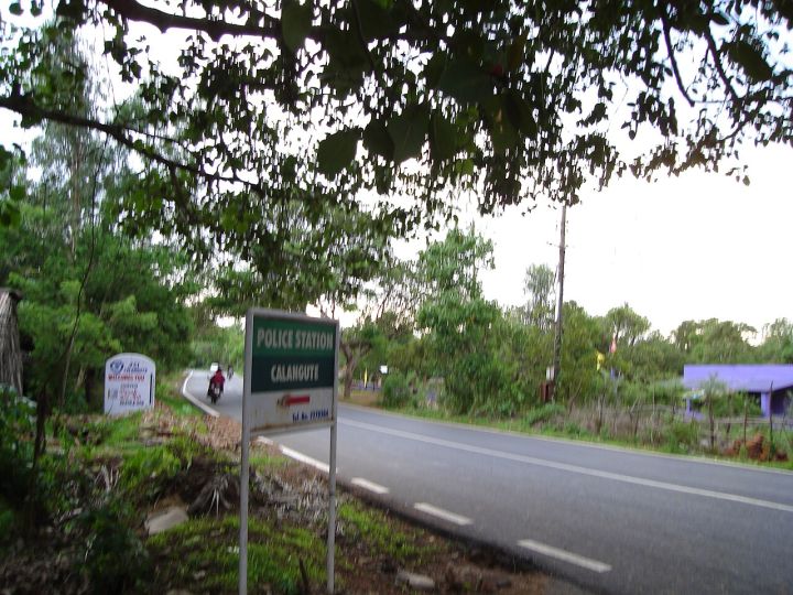 Goa Halts New Rental Thar Licenses Amid Surge in Road Accidents