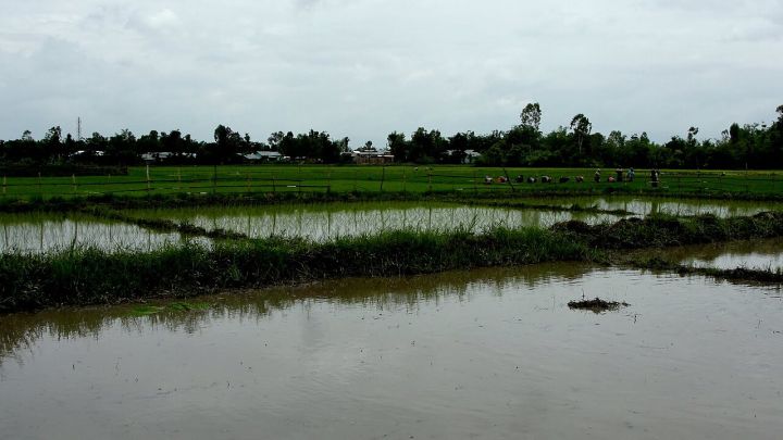 Manipur Farmers Urged To Rethink