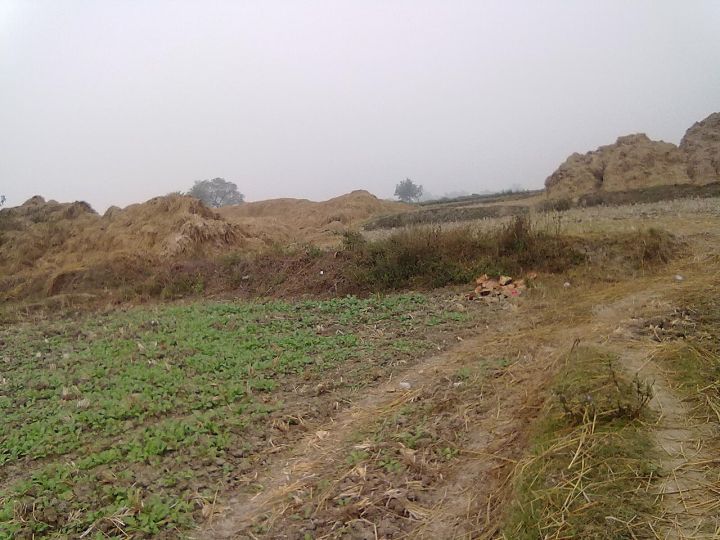 Bihar: 5-Year-Old Murdered in Aurangabad After Witnessing Affair