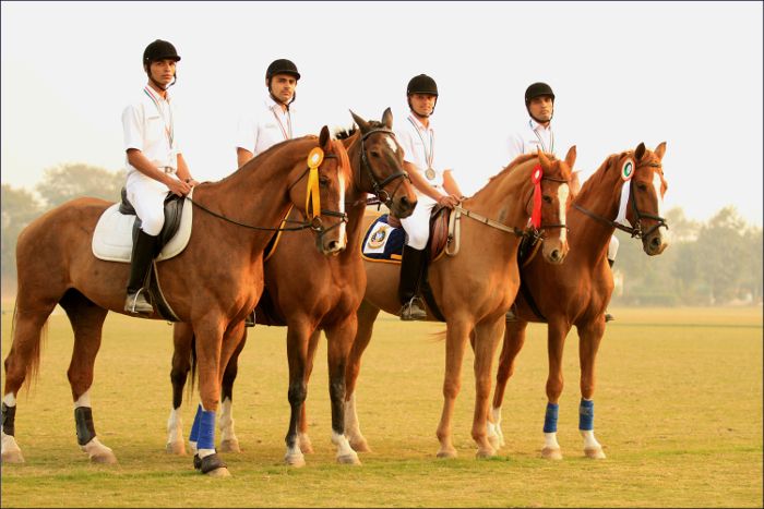 Delhi Race Club Faces Uncertainty