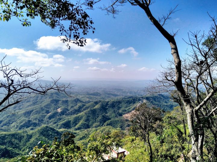 Two New Bat Species Discovered in India for the First Time in Mizoram