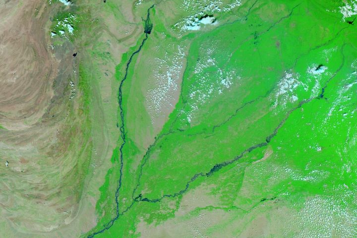 Punjab Faces Yellow Alert as Monsoon Brings Heavy Rains for Two Days