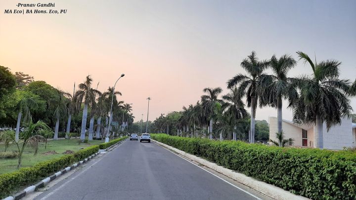 PhD Scholar Electrocuted at Panjab University