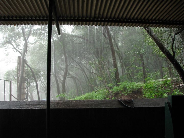 Monsoon Fury Hits Multiple Indian States, Over 10 Fatalities Reported