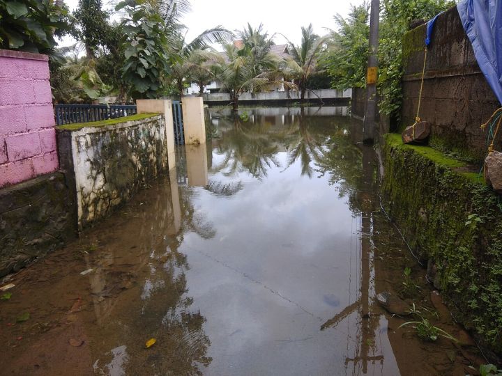 Kerala Monsoon Revives