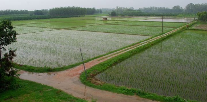 Punjab To Receive Heavy Rain