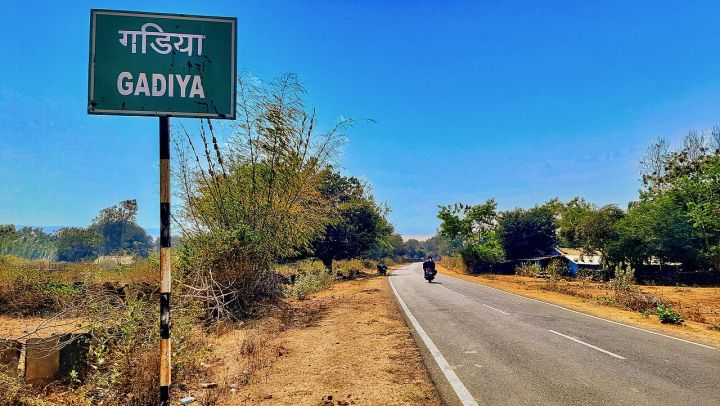 Monkeys Invade Chhattisgarh Villages, Residents Seek Help