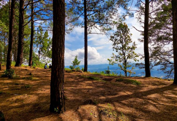 Netarhat: Jharkhand’s Hidden Queen of Chotanagpur Hill Station