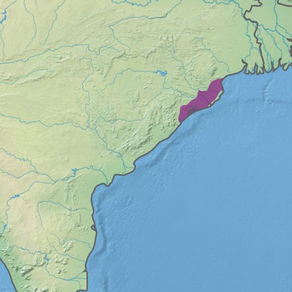 Odisha Launches OFSDP-II to Revamp Forest Communities' Livelihoods