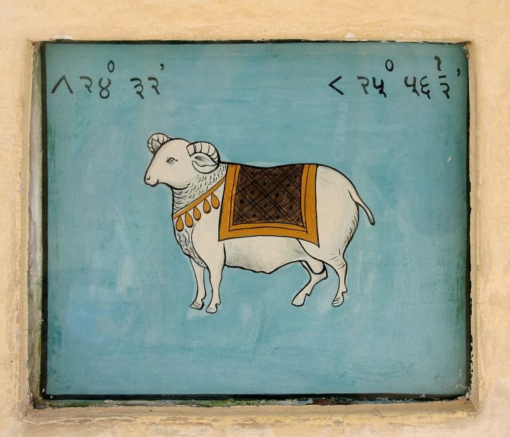Aries and Cancer Face Daydreaming and Borrowing Forecasts for July 19
