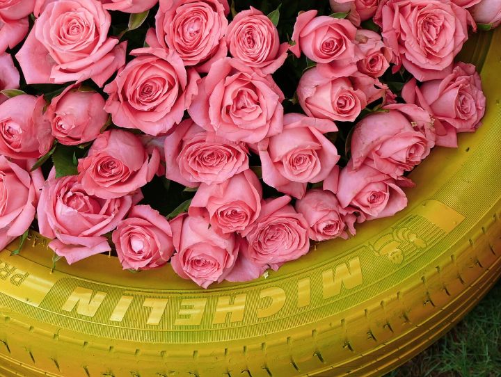 India’s Wedding Makers launches biggest two‑day luxury wedding conclave