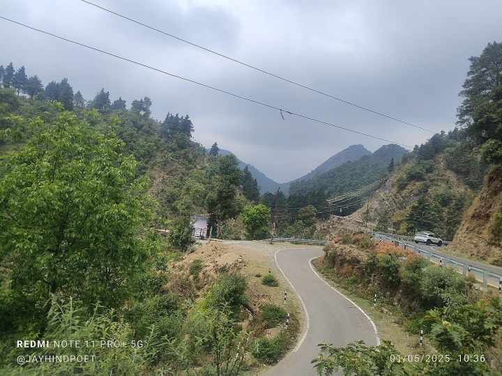 Car Skids on Mussoorie Road, Gets Stuck on Tree, Two Injured