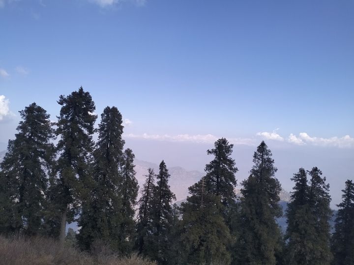 RTI Reveals Massive Tourist Registration Gaps in Mussoorie, Undermining Uttarakhand Tourism Authority