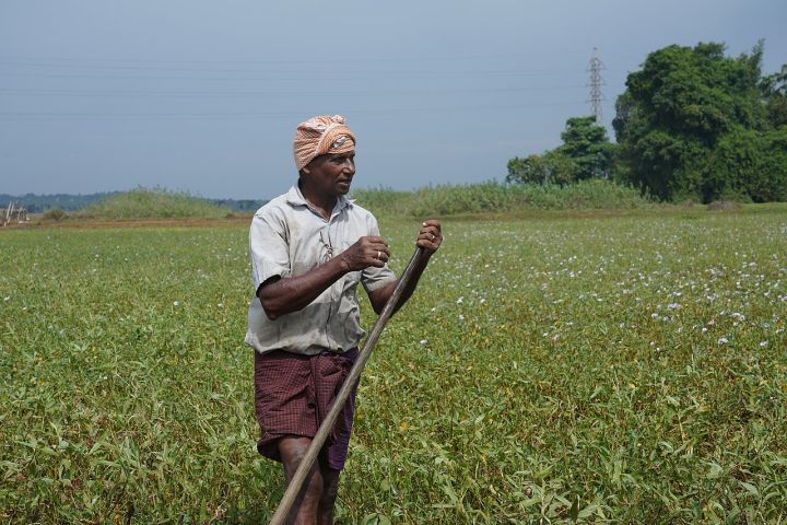 Kerala Announces New Farm Policies to Counter Climate‑Induced Crop Losses