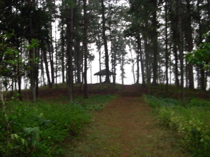 Balaghat, MP: 6 Children Die as Disease Outbreak Claims Lives, 100+ Infected