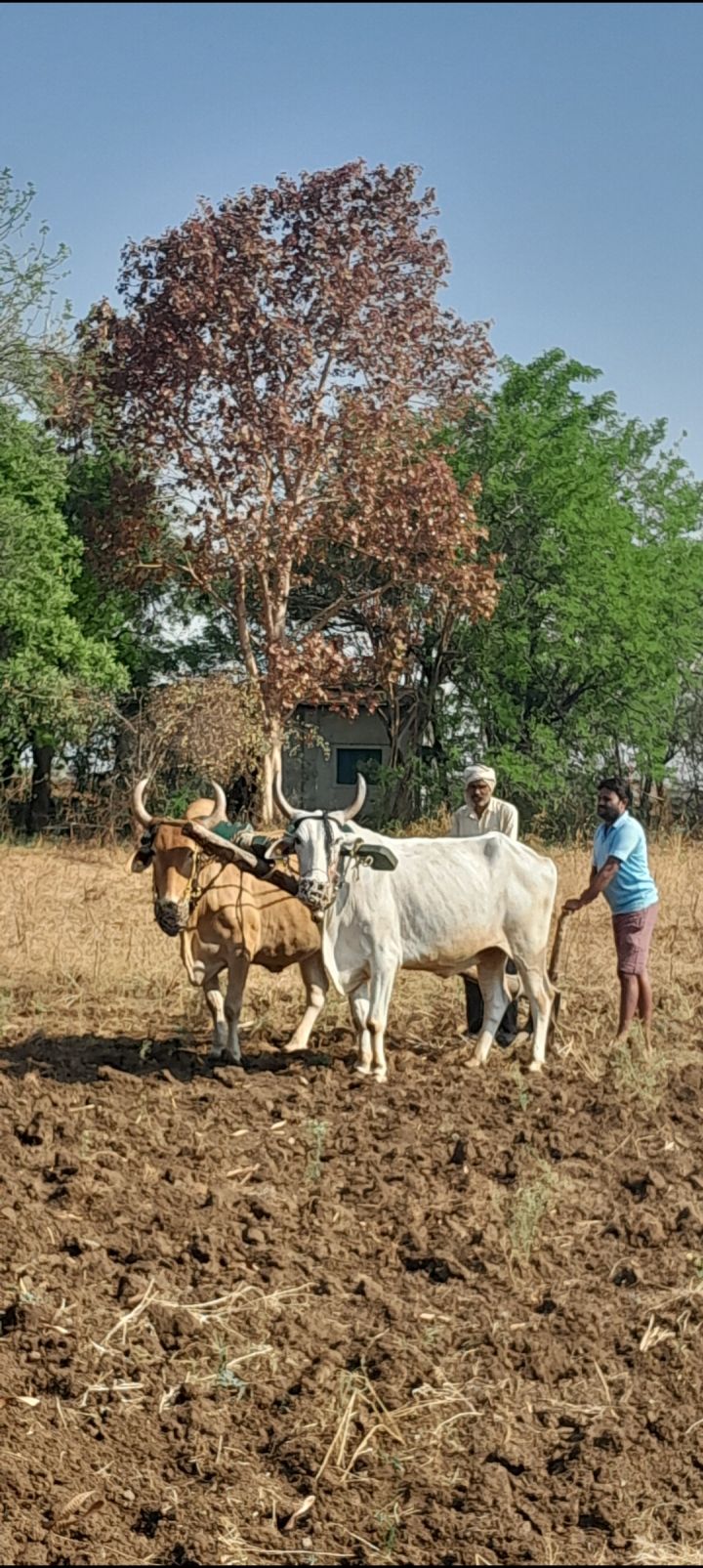 India's First 100% Organic State