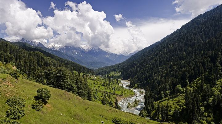 Jammu Kashmir Milk Production Hits 2.97 Million Tonnes, Reported to Lok Sabha