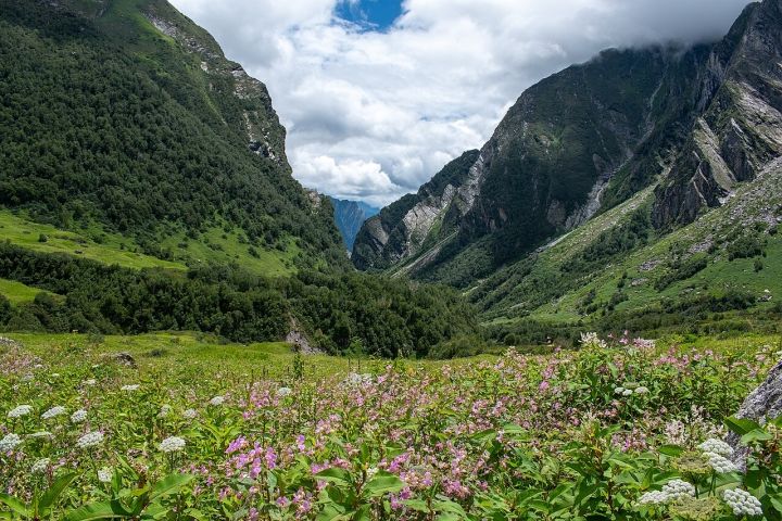 Valley of Flowers in Uttarakhand Reopens for Trekking