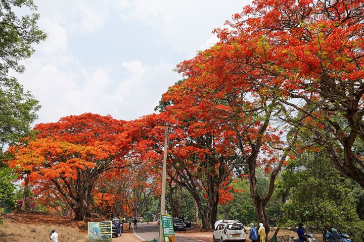 BJP district chief questions contractor working on Gulmohar City road in rain
