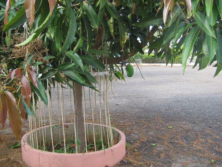 PA's daughter found dead in Baramati, Maharashtra; police start probe