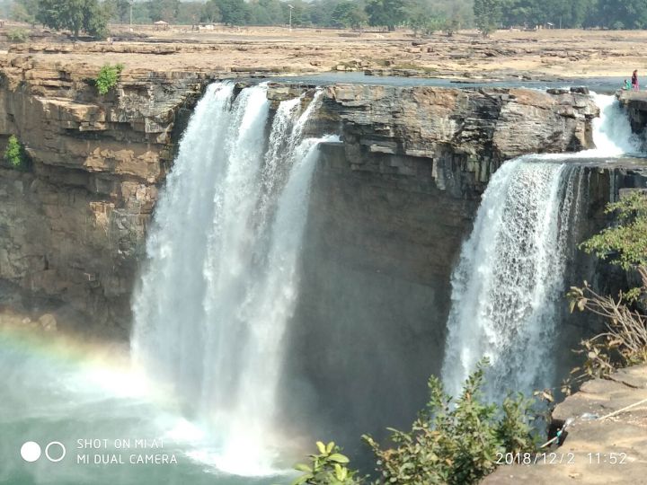 Chhattisgarh Launches Campaign to Save Its Last Wild Buffaloes