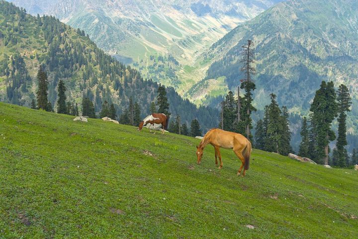 J&K Government Announces 2026 Land Pooling Policy