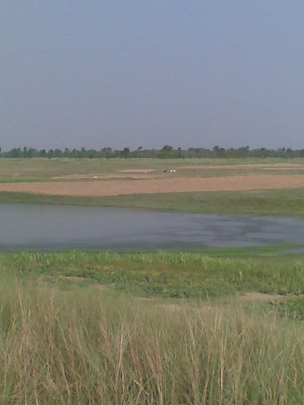 Gopalganj Residents Say Nepal Floods Yet to Affect Gandak River in Bihar