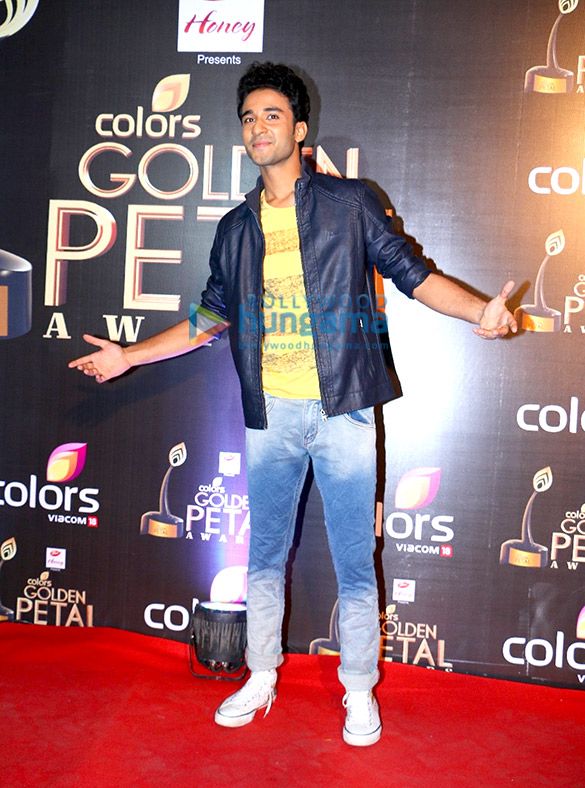 Bhai Tera Star Hai Box Office