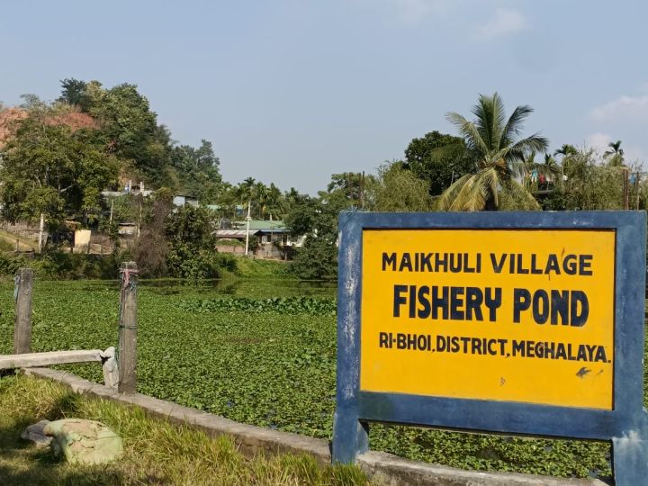 Protests Persist on Assam-Meghalaya Border as Cab Blockade Escalates
