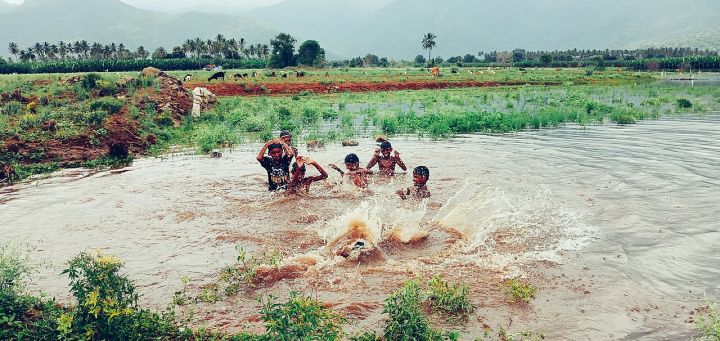 Over 130 Villages Isolated as Floodwaters Swamp Bhograi, Odisha
