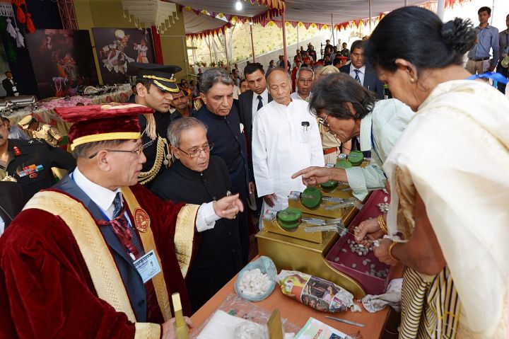 Manipur Governor Urges Resilience and Unity on Khongjom Day