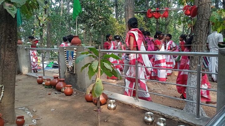 Odisha Unveils Its Past