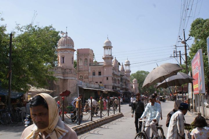 Man in Dog Mask Storms Khandwa Civic Office to Protest Sterilisation Irregularities