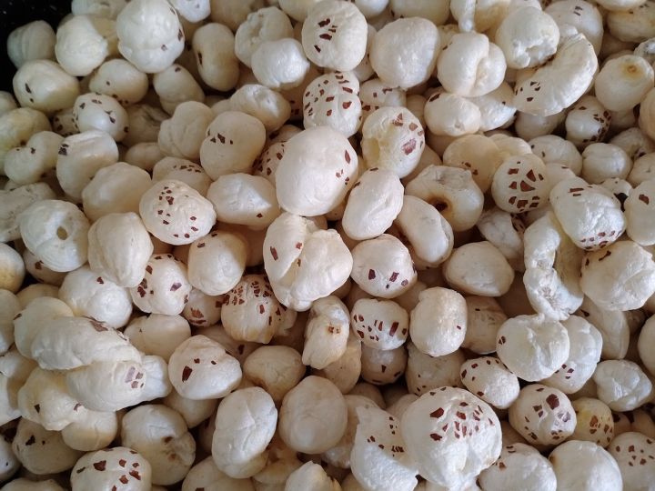 Assam Government Targets Higher Farmer Incomes via Makhana Cultivation