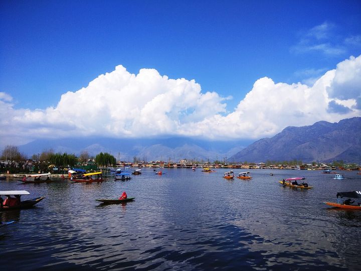 J&K's Auqib Nabi Makes History