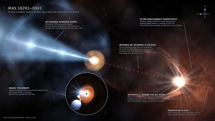 First Microblazer Detected in Milky Way: Near‑Light‑Speed Jet from Black Hole Unveiled