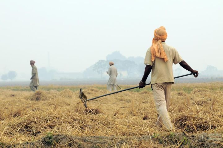 Centre's new stubble‑burning guidelines criticised as anti‑farmer by AAP Punjab leader