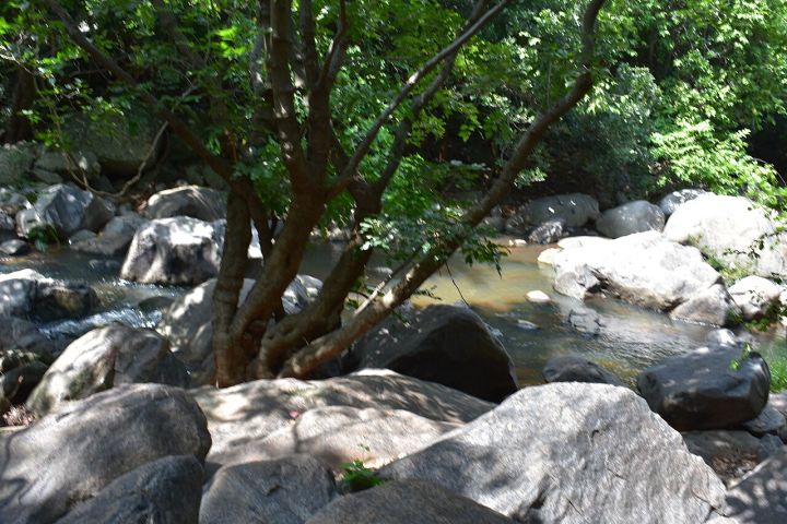 Tamil Nadu: Untreated Sewage Allegedly Discharged Into Koraiyar River, Videos Surface