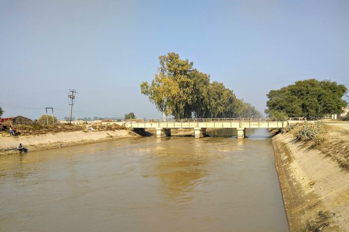 Laborer found dead on road in Faridkot, Punjab